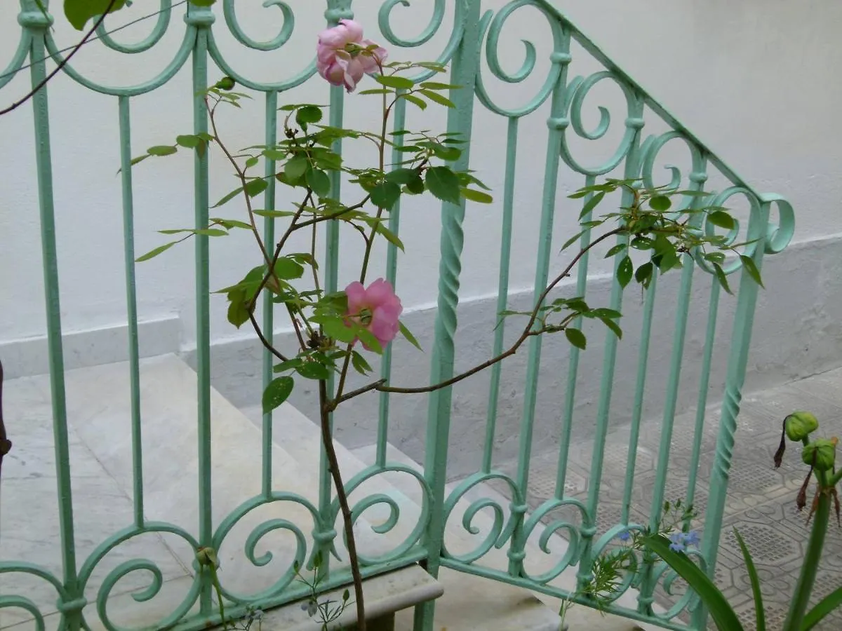 Casa Santucci Villa Forte dei Marmi Holiday home